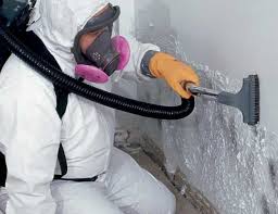 Pompton Plains, NJ Mold Removal Company